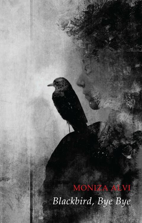 Blackbird, Bye Bye 