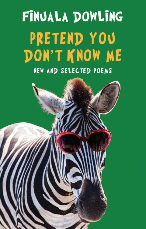 Cover image for book Pretend You Don't Know Me