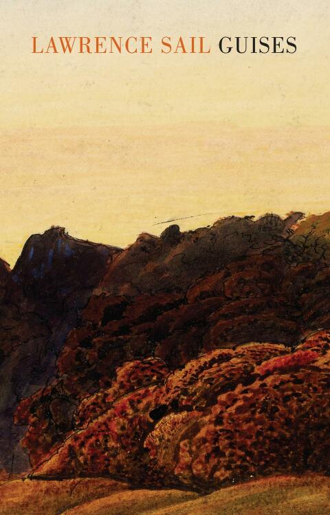 Cover image for book Guises