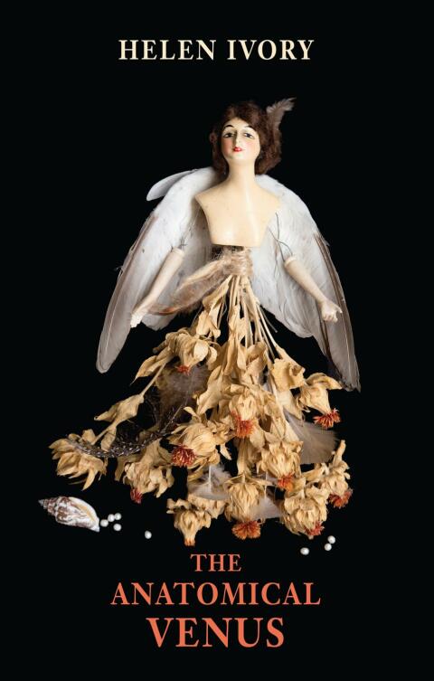 The Anatomical Venus 