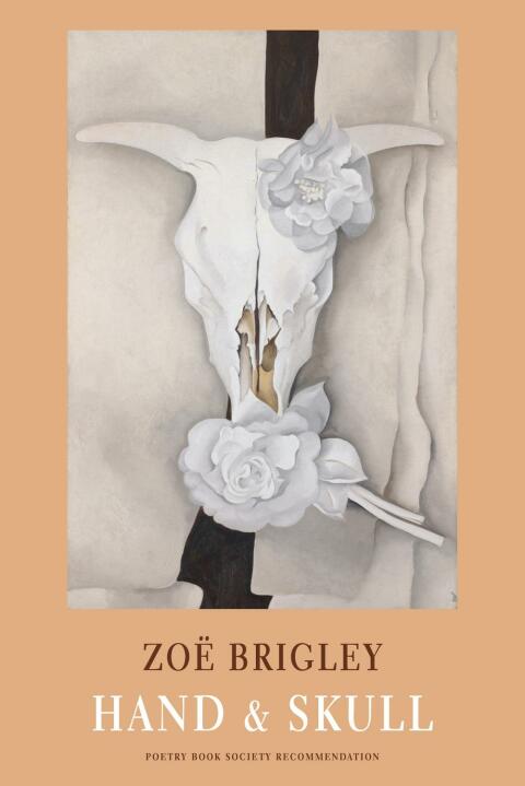 Cover image for book Hand & Skull