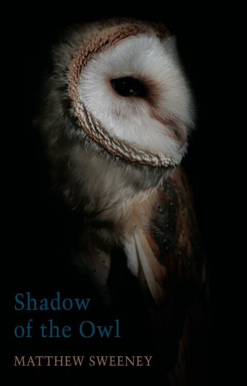 Shadow of the Owl 