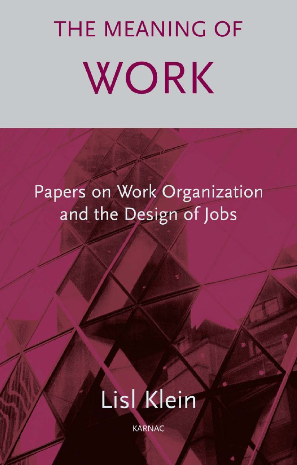 The Meaning of Work (eBook) - Lisl Klein,