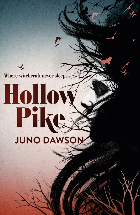 Cover image for book Hollow Pike