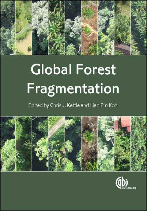 Cover image for book Global Forest Fragmentation