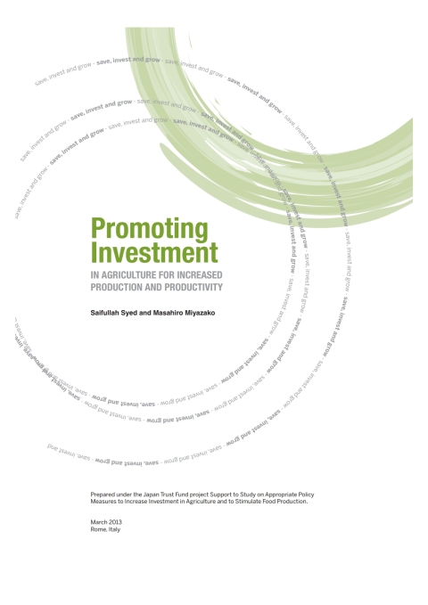 Cover image for book Promoting Investment in Agriculture for Increased Production and Productivity