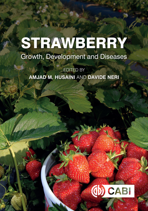 Cover image for book Strawberry