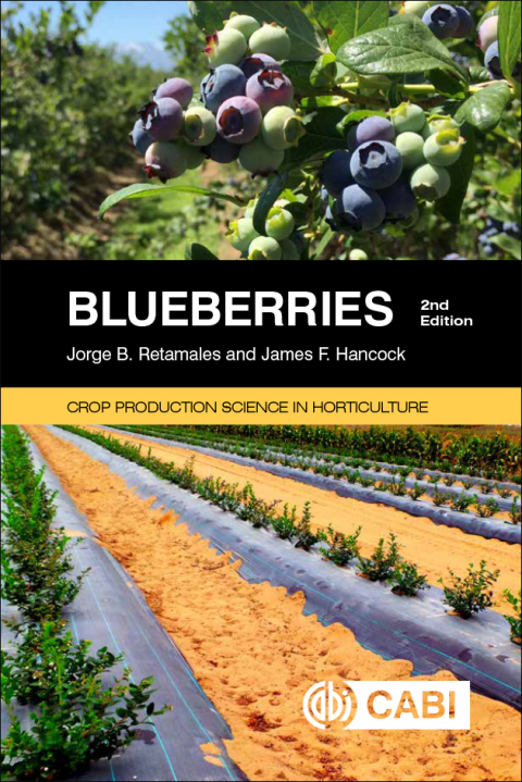 Blueberries 