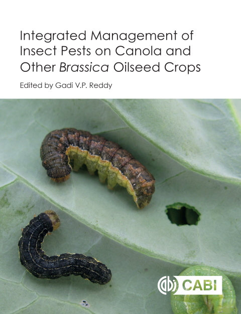 Cover image for book Integrated management of Insect Pests on Canola and other Brassica Oilseed Crops