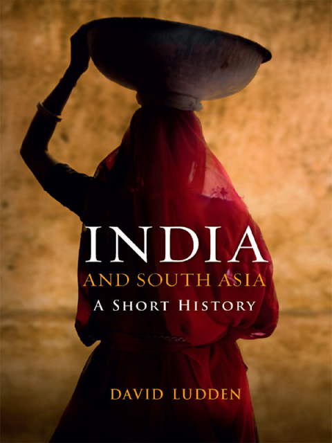 Cover image for book India and South Asia