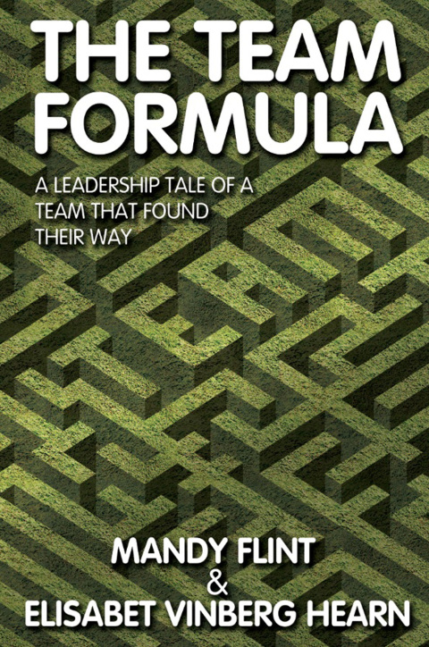 Cover image for book The Team Formula