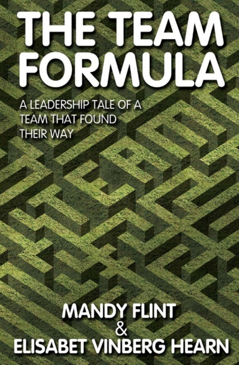Cover image for book The Team Formula
