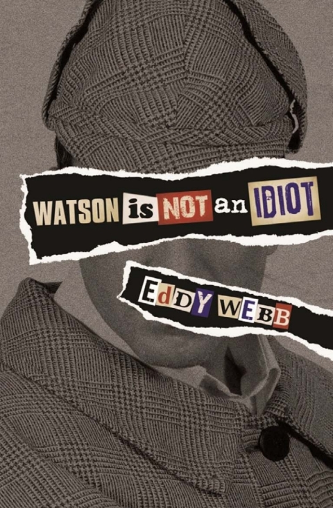 Cover image for book Watson Is Not an Idiot