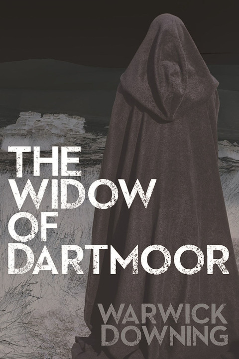 Cover image for book The Widow of Dartmoor