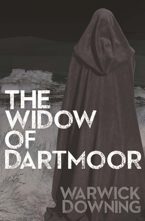 Cover image for book The Widow of Dartmoor