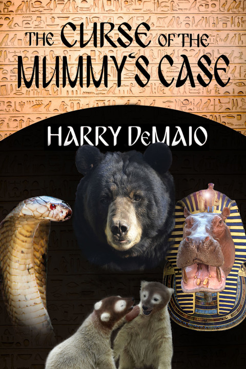 Cover image for book The Curse of the Mummy's Case