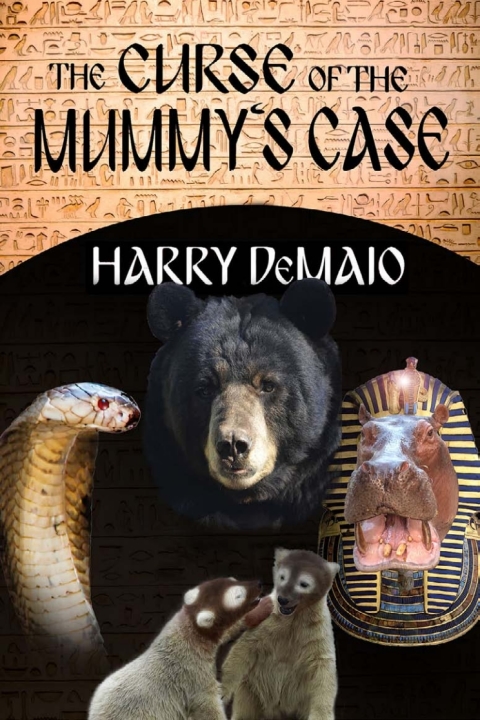 Cover image for book The Curse of the Mummy's Case
