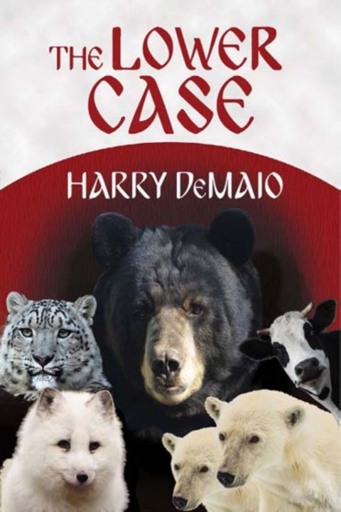 Cover image for book The Lower Case