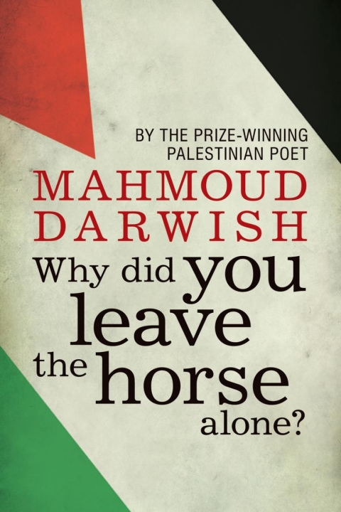 Cover image for book Why Did You Leave the Horse Alone?
