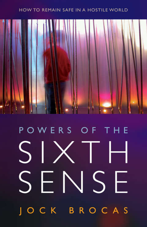 Cover image for book Powers of the Sixth Sense