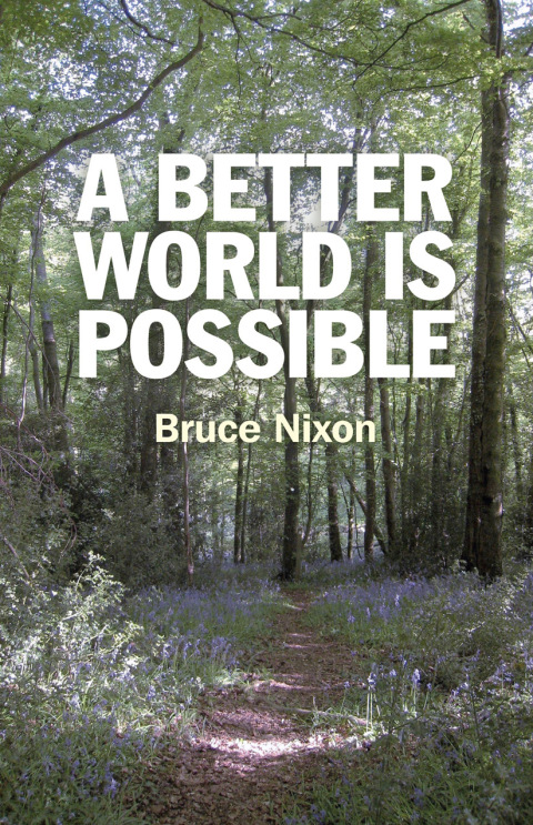 Cover image for book A Better World is Possible