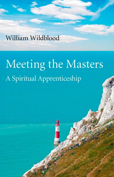 Cover image for book Meeting the Masters