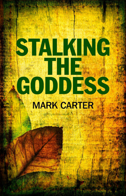 Cover image for book Stalking the Goddess