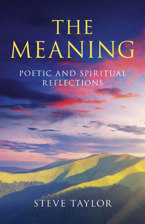 Cover image for book Meaning