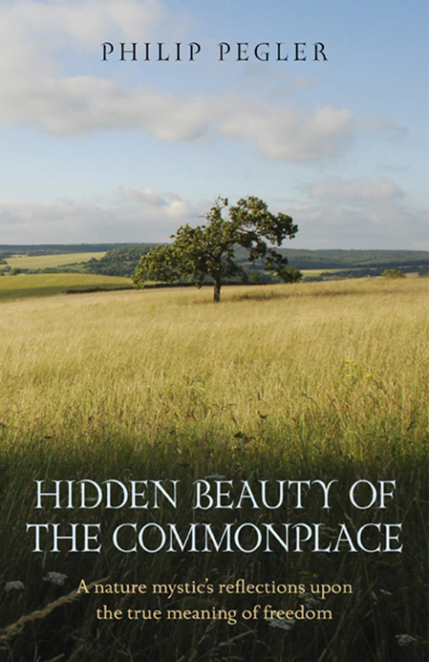 Cover image for book Hidden Beauty of the Commonplace