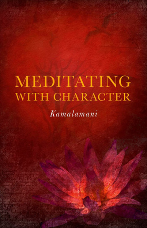 Cover image for book Meditating with Character