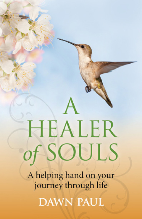 Cover image for book Healer of Souls