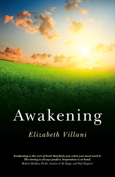 Cover image for book Awakening