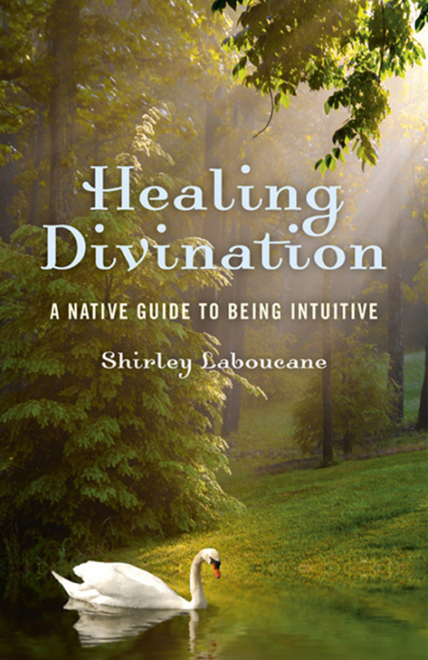 Cover image for book Healing Divination