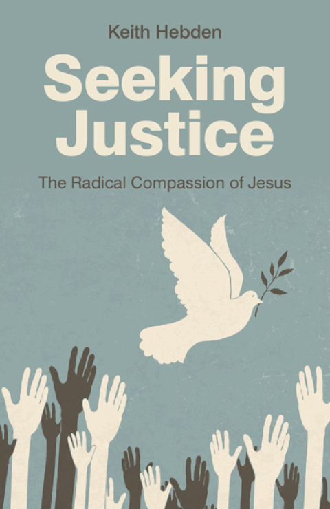Cover image for book Seeking Justice