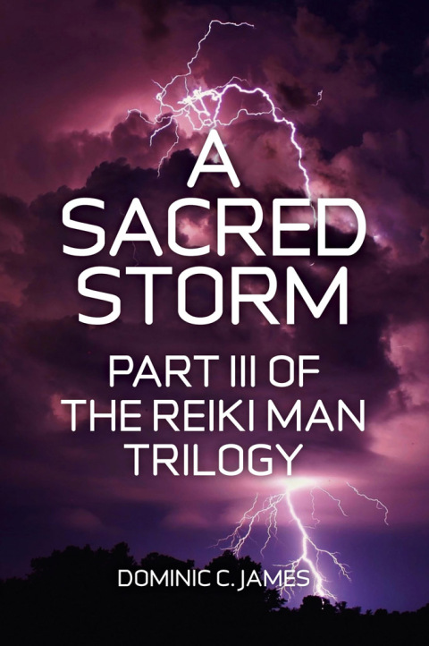Cover image for book Sacred Storm
