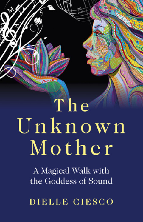 Cover image for book Unknown Mother