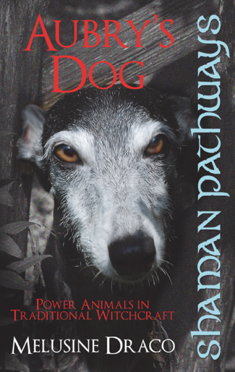 Cover image for book Shaman Pathways - Aubry's Dog: Power Animals In Traditional Witchcraft