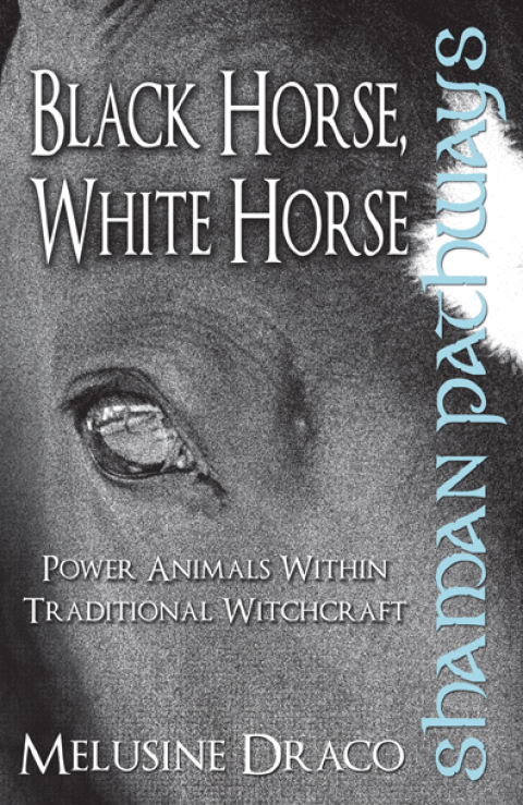 Cover image for book Shaman Pathways - Black Horse, White Horse