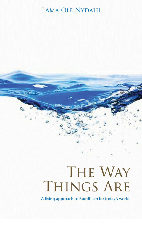 Cover image for book The Way Things Are