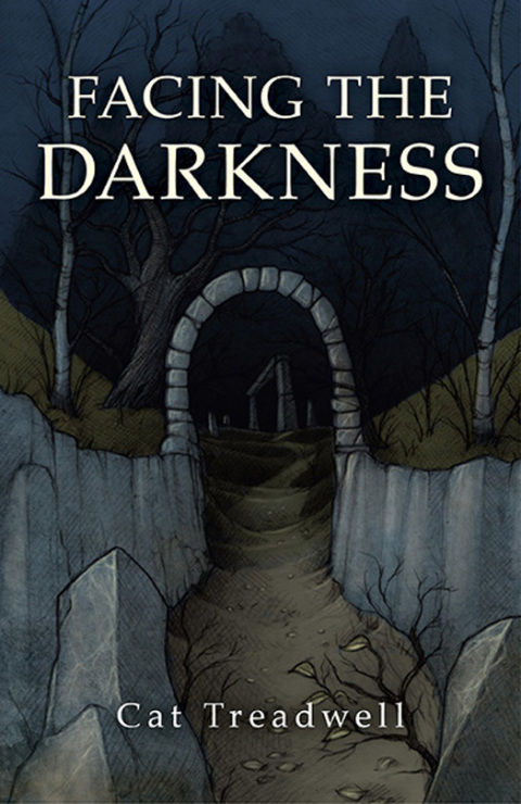 Cover image for book Facing the Darkness