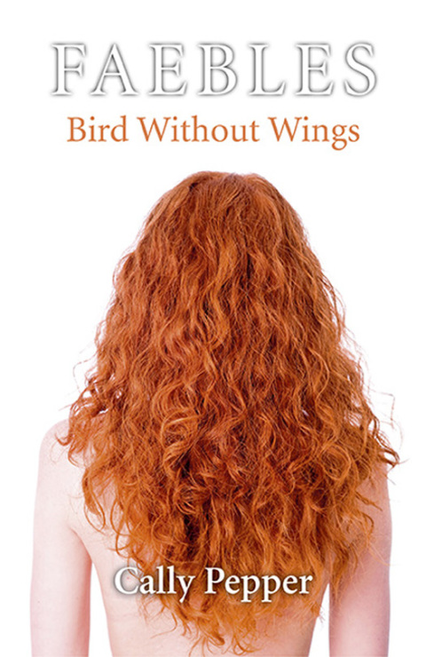 Cover image for book Bird Without Wings