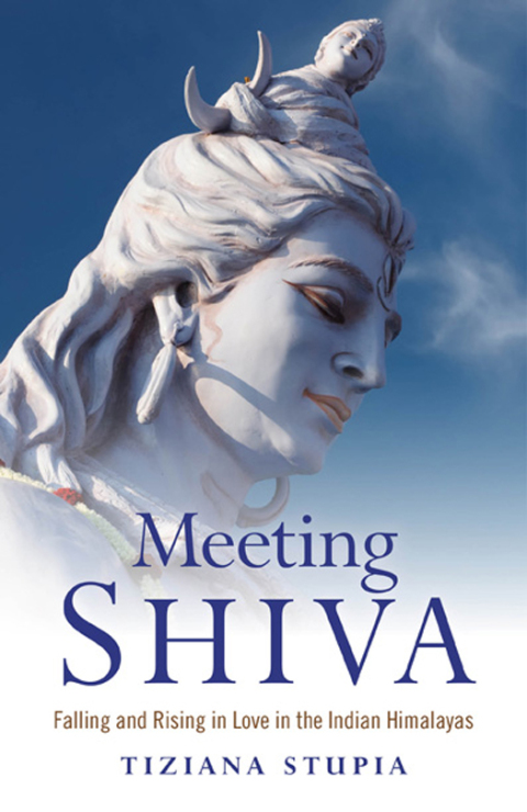 Cover image for book Meeting Shiva