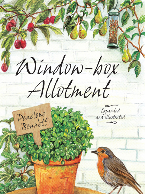Cover image for book Window-box Allotment