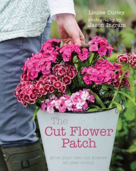 Cover image for book The Cut Flower Patch