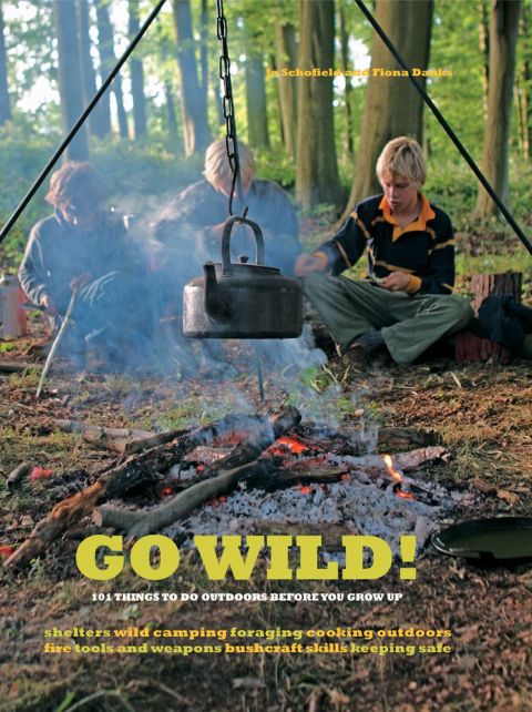Cover image for book Go Wild!