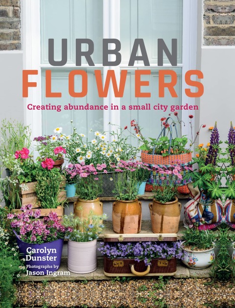 Cover image for book Urban Flowers
