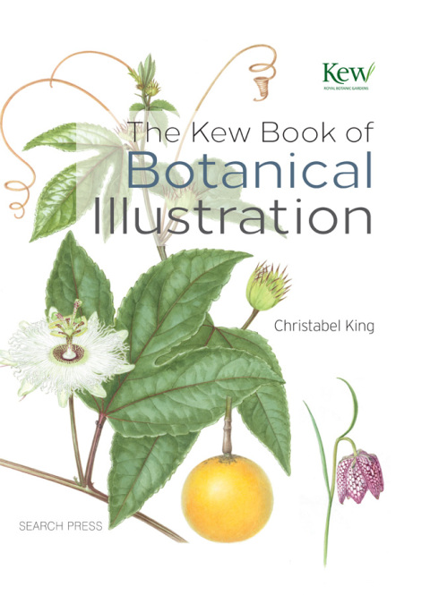 Cover image for book The Kew Book of Botanical Illustration