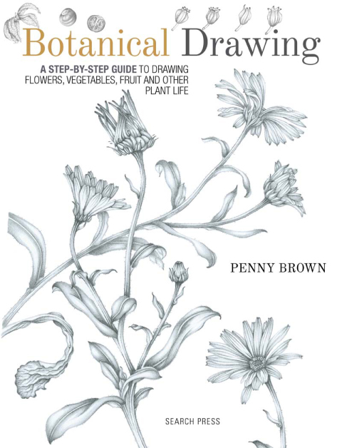 Cover image for book Botanical Drawing