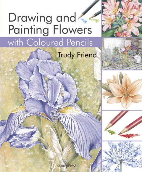 Cover image for book Drawing & Painting Flowers with Coloured Pencils