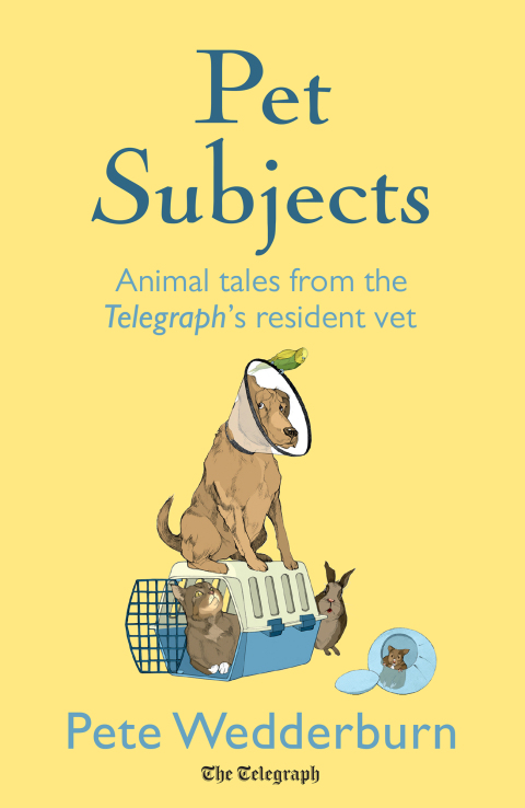 Cover image for book Pet Subjects